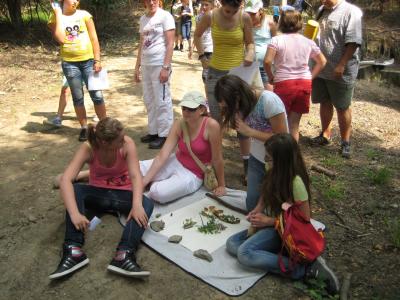 Wappenspiel (5)